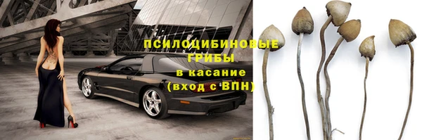 стаф Медногорск
