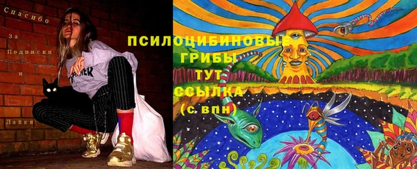 кристаллы Мегион